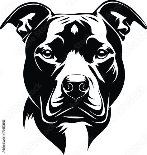 Staffordshire Bull Terrier head silhouette with muscular build, upright ears, and bold eyes vector