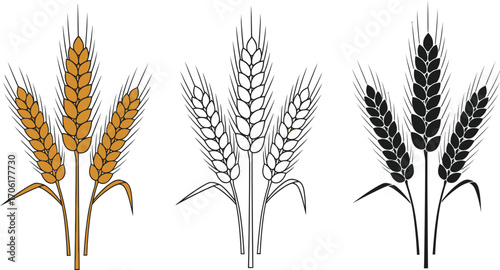 Wheat Icon Set, Golden, Outline, and Black Silhouette on a White Background