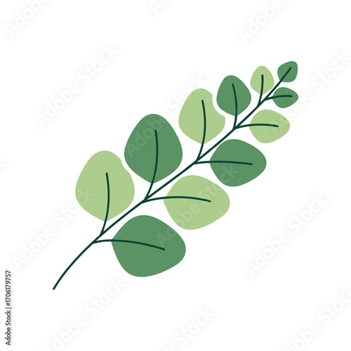 A delicate green leaf branch with varying shades of green against a clean white background