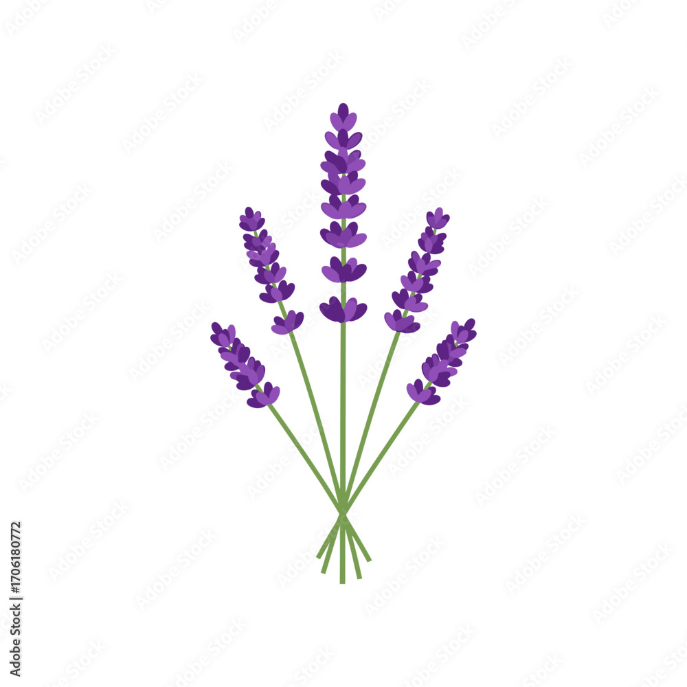 Naklejka premium A vibrant bouquet of lavender flowers in full bloom against a clean white background