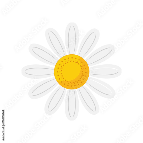 A vibrant daisy flower with white petals and a bright yellow center against a clean background
