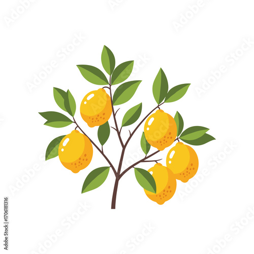 A vibrant lemon tree with ripe yellow lemons and lush green leaves, set against a clean background