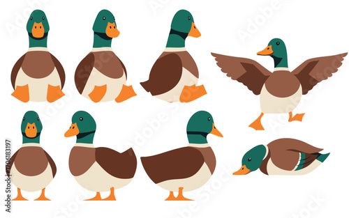 Minimalist vector duck in multiple poses and angles