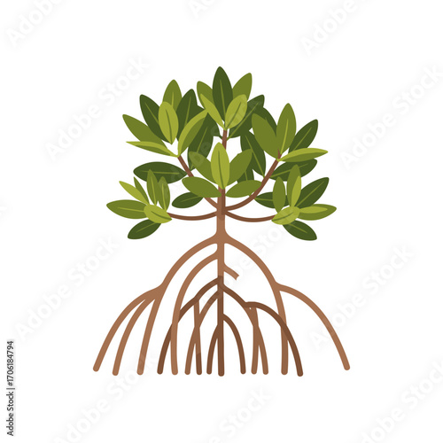 Illustration of a healthy mangrove tree with vibrant leaves and intricate root system in a minimalist style