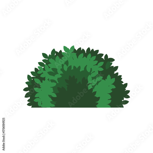 Lush green shrub with dense foliage, set against a plain white background, ideal for nature themes