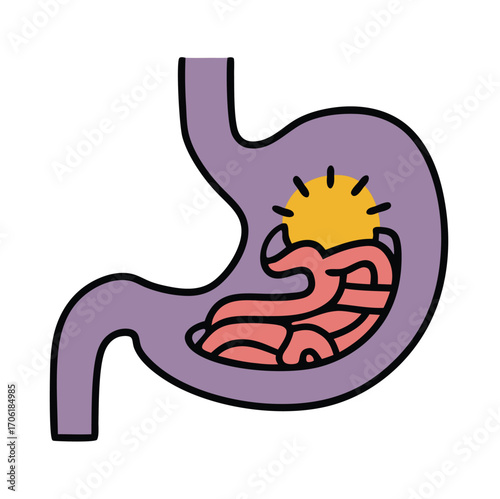 Stomach vector icon, digestive system, colorful, Human Organ Medical Illustration, Anatomy Healthcare Vector Graphic