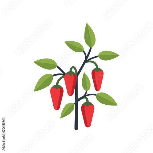 Vibrant red chili peppers growing on a green plant against a clean white background