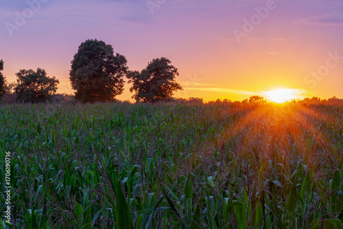 Sunset over the fields