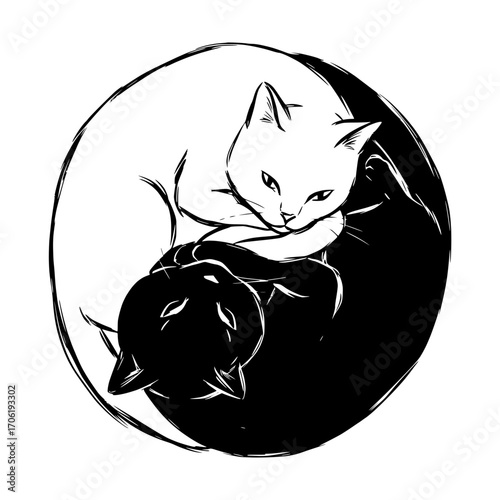 Drawing of cats lying in the form of the yin-yang symbol, spirituality, isolated vector image on a transparent background