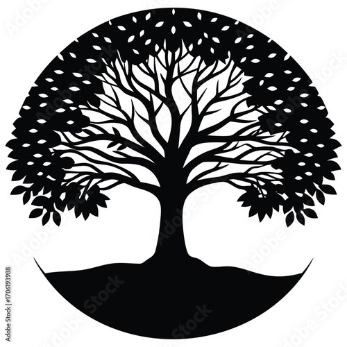 sunset silhouette tree life isolated white background nature
