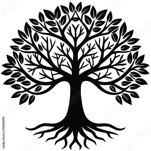 tree of life meditation background isolated on white