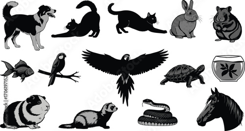 Pet animal vector illustration set with dog, cat, rabbit, bird, fish, turtle, hamster, perfect for design, decor, education