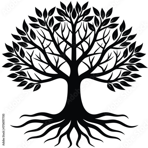 tree of life shaped roots and branches isolated on white background