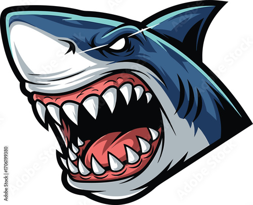 Fierce vector illustration of a great white shark with aggressive open jaws ready to attack
