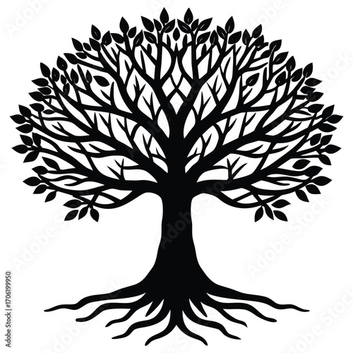 vintage tree of life etching isolated on white background