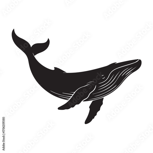 Silhouette of a humpback whale swimming in the ocean, isolated on white background technology background