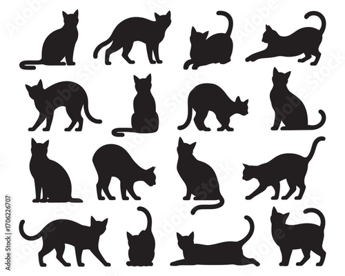 Vector graphic set of black cat silhouettes. A collection of feline animal icons showing various dynamic poses, isolated on a white background