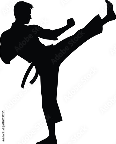 Silhouette of a martial artist performing a high kick on a pure white background
