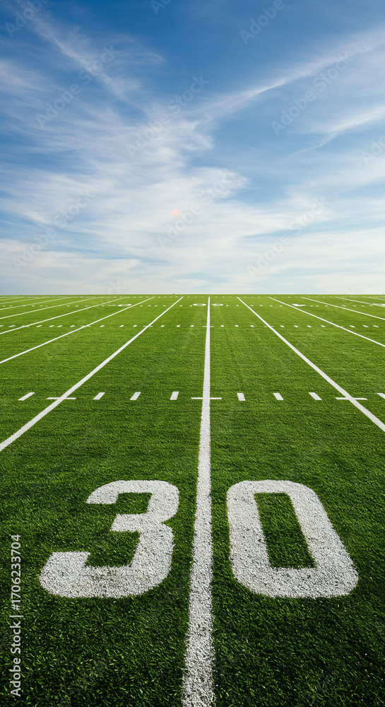 Obraz premium Eye-level full shot of a well-marked American football field with vibrant grass