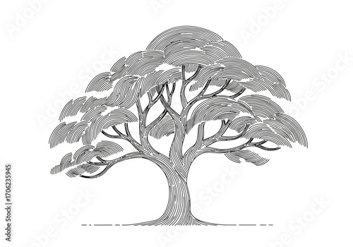 A blackandwhite tree drawing with a distinctive semicircular pattern for its leaves and a detailed trunk