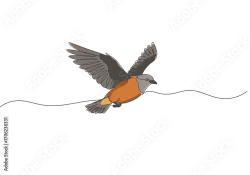 Bird with gray wings orange body flying above a black wavy line