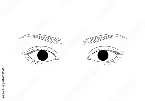 Two eyes with eyebrows above them drawn in black and white no background