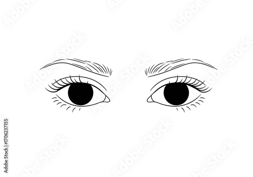 Two eyes with eyebrows eyelashes and pupils are depicted in a simple black and white drawing