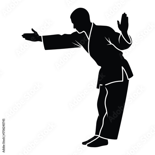 Martial arts silhouette of a practitioner performing a dynamic movement silhouette