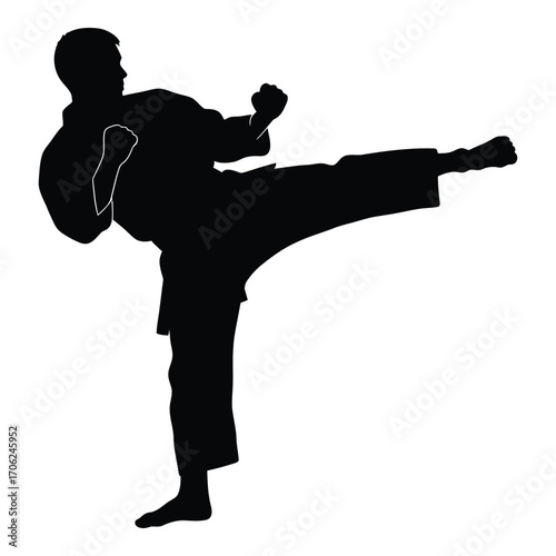 Dynamic silhouette of a martial artist performing a powerful side kick silhouette