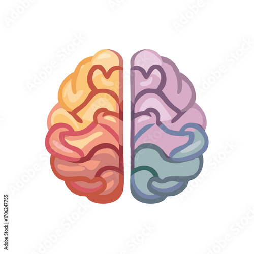Stylized Brain Hemispheres Illustration with Creative and Logical Sides Concept, Brainstorming and Thought Processes