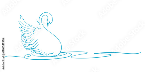 swan bird vector with water