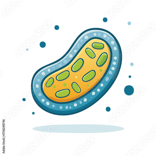 Stylized Bean Shape Microorganism with Cell Nuclei Vector Illustration