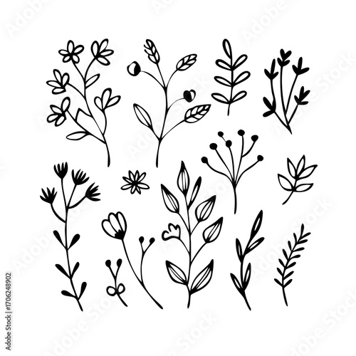 Simple hand-drawn floral elements and botanical illustrations for decorative use
