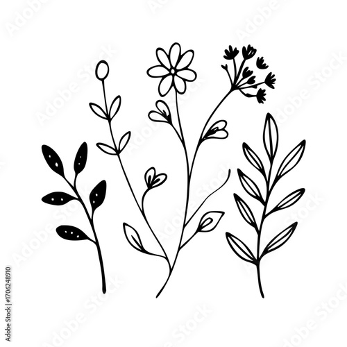 Whimsical Floral Outlines Delicate Botanical Vector Art for Creative Projects