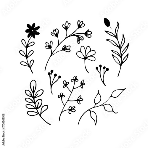 Elegant collection of hand-drawn floral line art and botanical leaf doodles