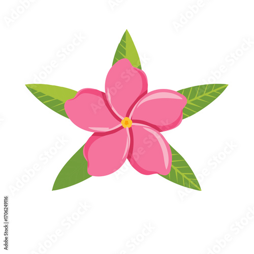 Pink flower with green leaves Illustration of a single plumeria with five petals