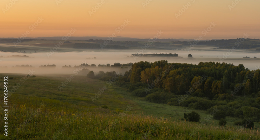 Obraz premium Russia. South of Western Siberia, Altai Krai. Thick fog in the hollows and hollows of hilly steppes with sparse trees at dawn of a summer day.