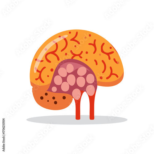Illustration of a stylized brain with related structures