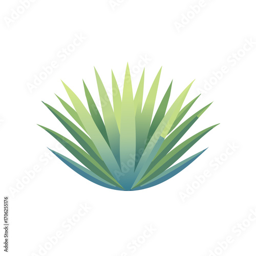 Vibrant Green Blue Agave Plant Silhouette with Sharp Spiky Leaves