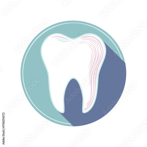 Modern flat design icon of a molar tooth with a long shadow for a dental clinic or stomatology symbol