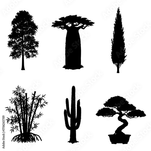 Silhouette collection of diverse trees including baobab cactus bonsai and bamboo on a white background
