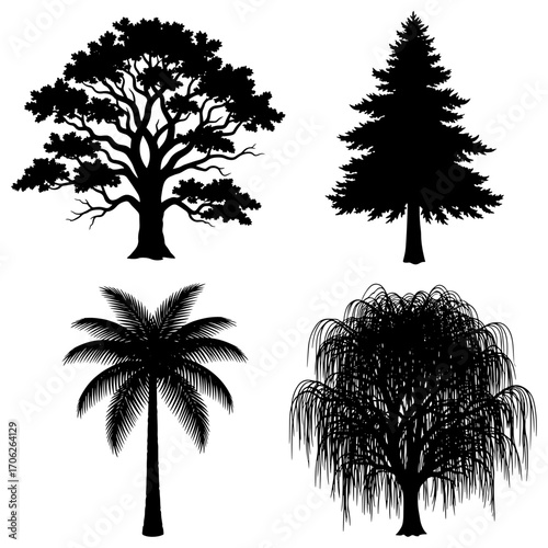 Silhouette illustration showcasing four distinct tree types: oak, pine, palm, and weeping willow