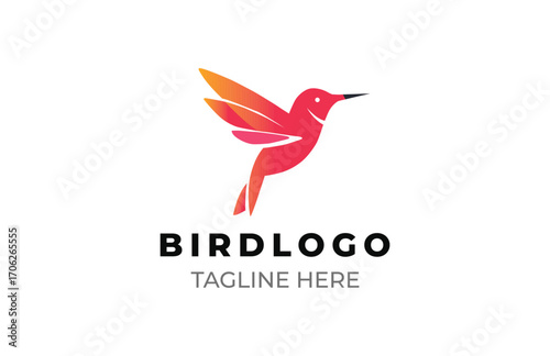 Professional Bird Logo Design