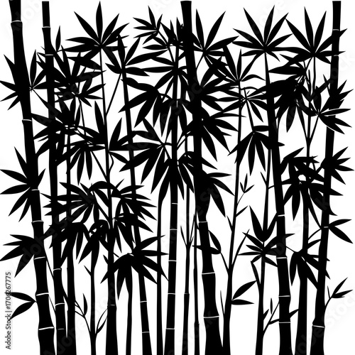 bamboo vector illustration