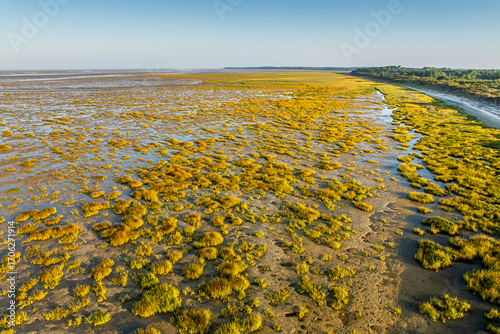 La progression de la spartine en Baie de Somme