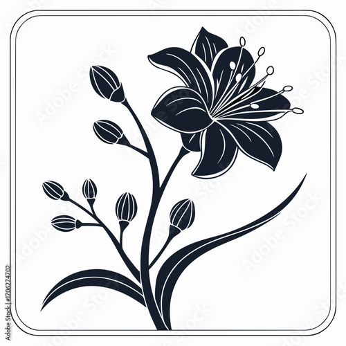 Elegant dark silhouette of a blooming lily flower with unopened buds and leaves on a stem against a white background within a rounded square frame