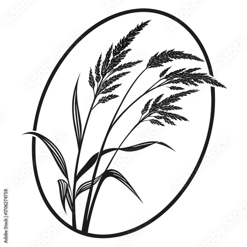Elegant black and white silhouette illustration of tall wispy grass stalks with seed heads enclosed within a simple oval frame evoking nature and simplicity