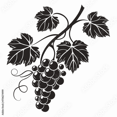 Stylized black silhouette of a ripe bunch of grapes with leaves and tendrils on a white background representing nature and harvest