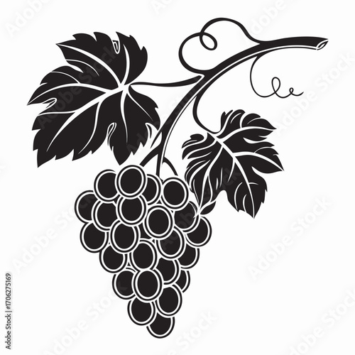 Stylized black silhouette of a ripe bunch of grapes with leaves and a curling vine on a white background