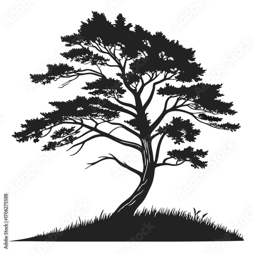 A striking silhouette of a mature pine tree with intricate branches and needles standing tall on a grassy hill against a clean white background